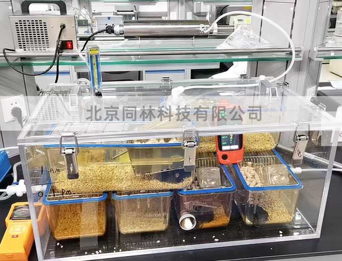 臭氧暴露染毒裝置現場